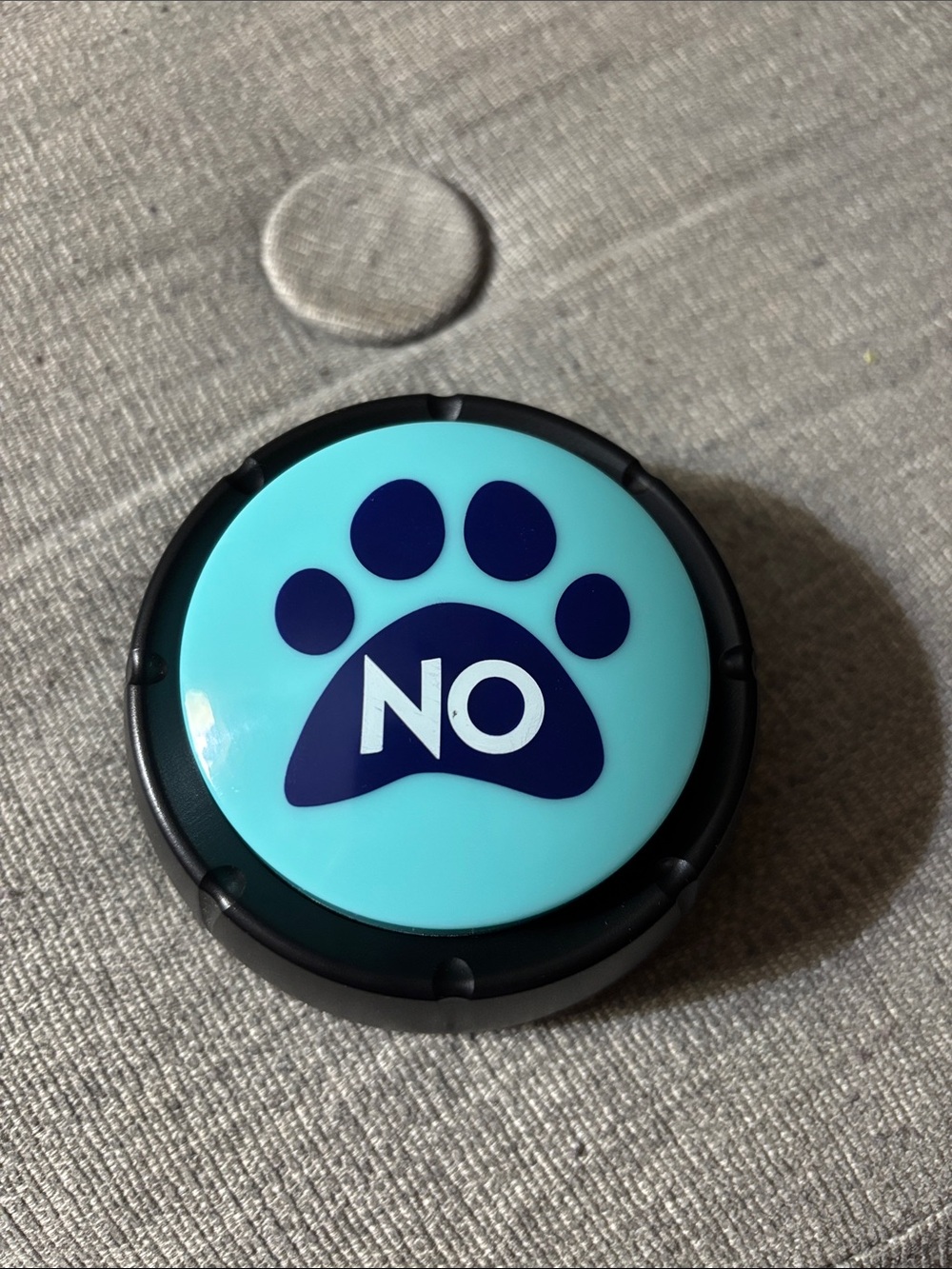 Dog training/ gimmicky “NO” button